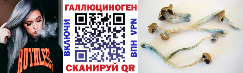 Галлюциногенные грибы прущие грибы  Кыштым 